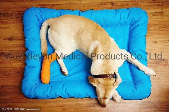 Multi Prints Vet Cohesive Flexible Animal Bandage