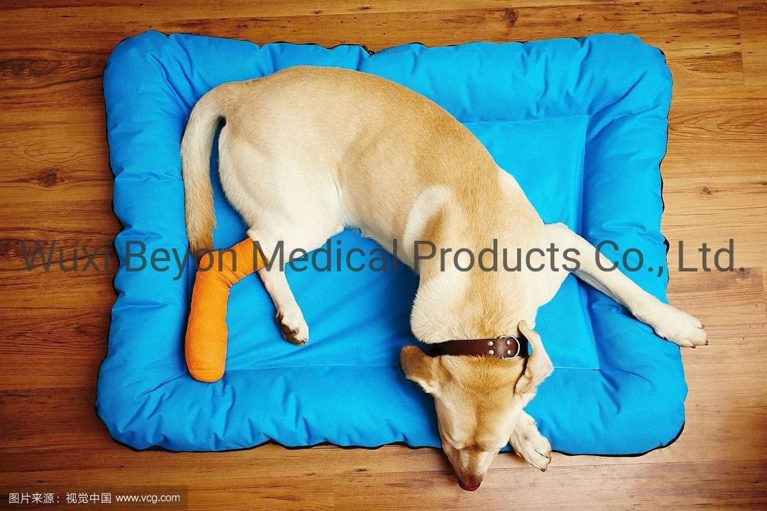 Multi Prints Vet Cohesive Flexible Animal Bandage